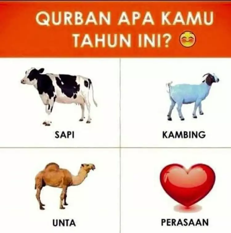 Meme lucu hewan kurban © 1cak.com Meme lucu hewan kurban © 1cak.com