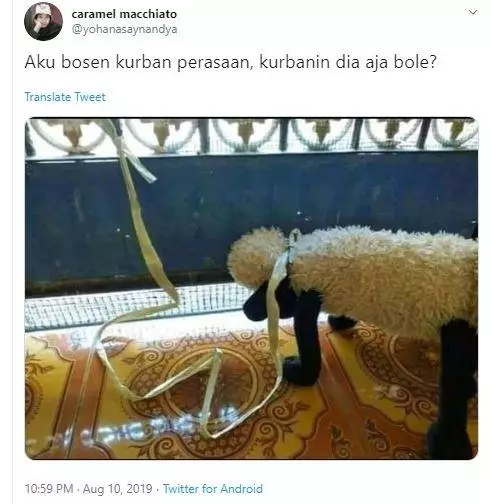 Meme lucu hewan kurban © 1cak.com Meme lucu hewan kurban © 1cak.com