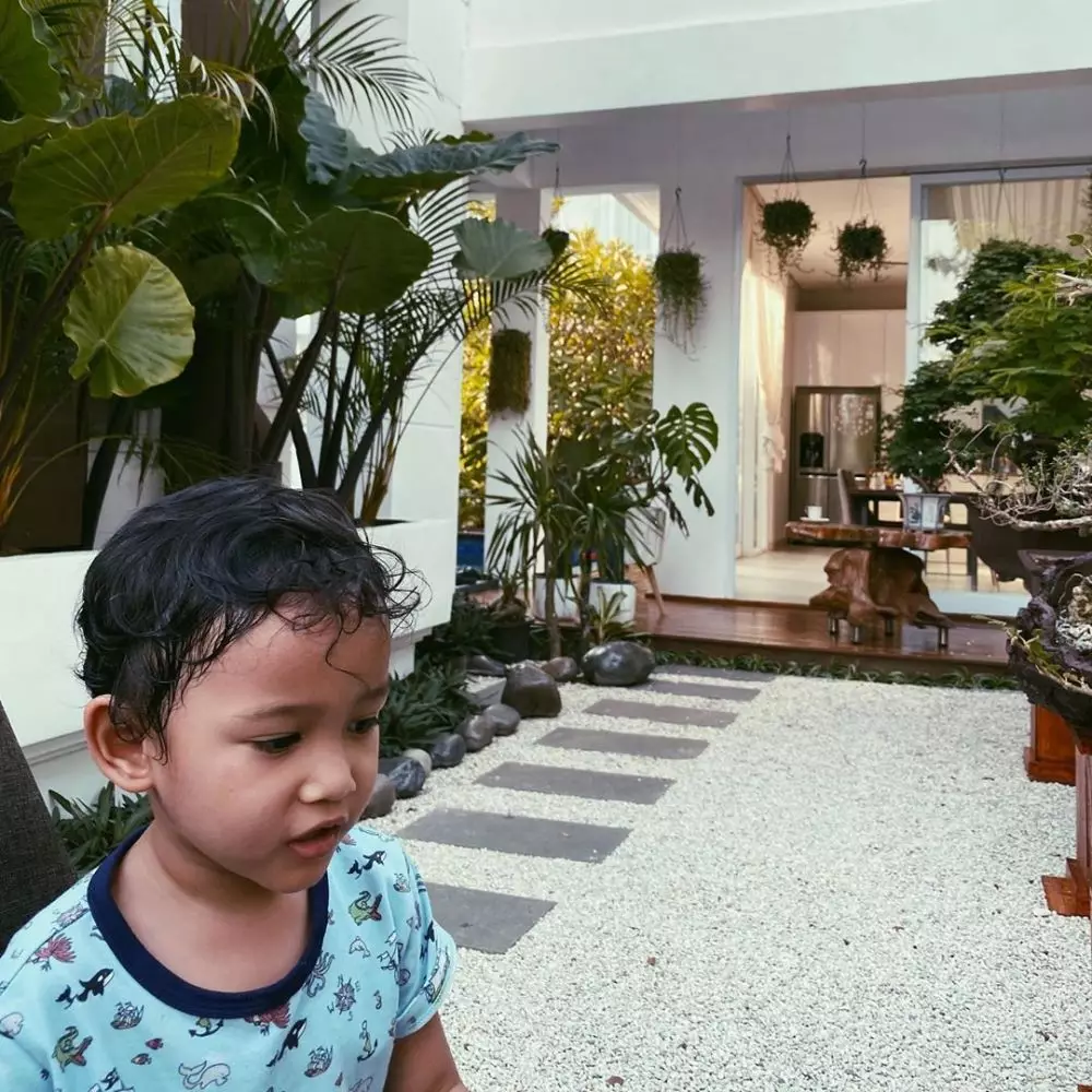 Potret halaman rumah pesinetron dari berbagai sumber