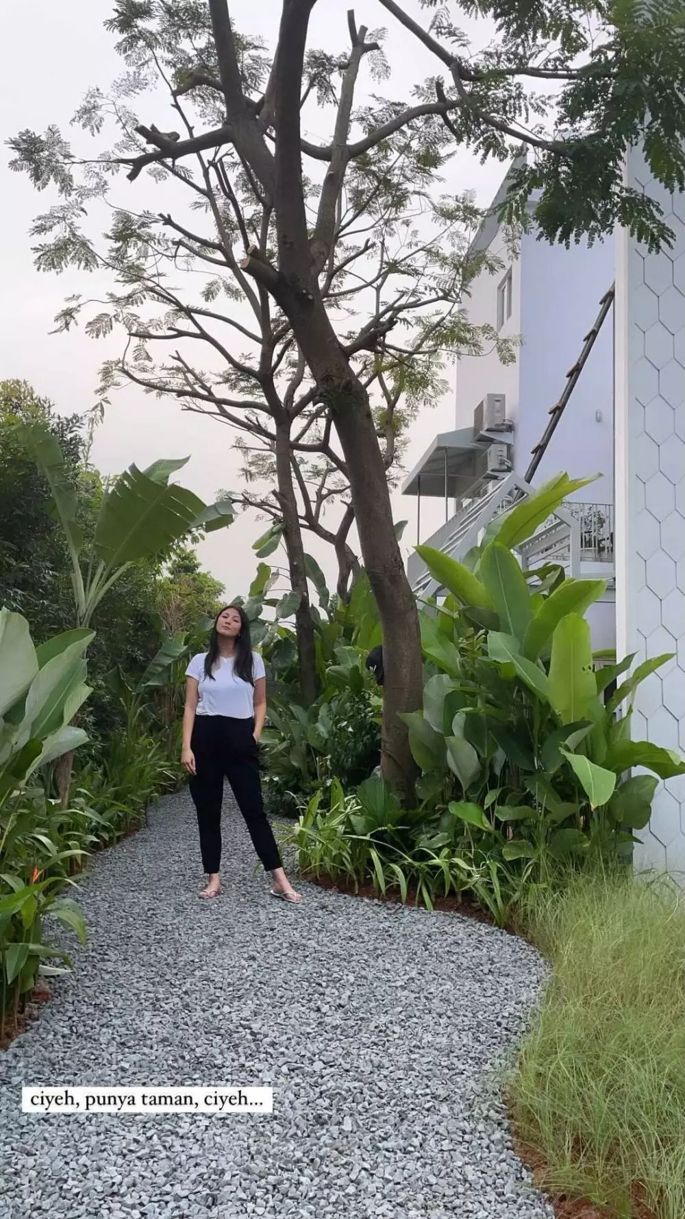 Potret halaman rumah pesinetron dari berbagai sumber