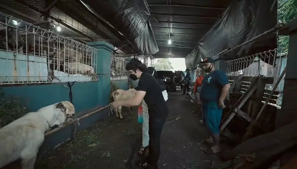 Atta Halilintar dan Aurel Hermansyah beli hewan kurban © 2021 brilio.net YouTube