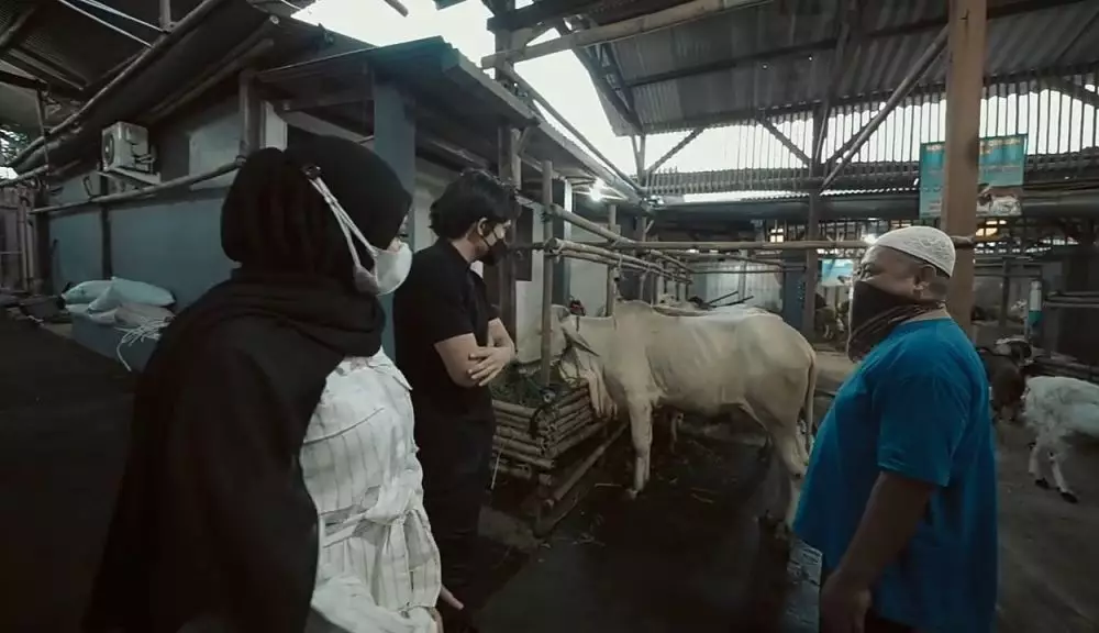 Atta Halilintar dan Aurel Hermansyah beli hewan kurban © 2021 brilio.net YouTube