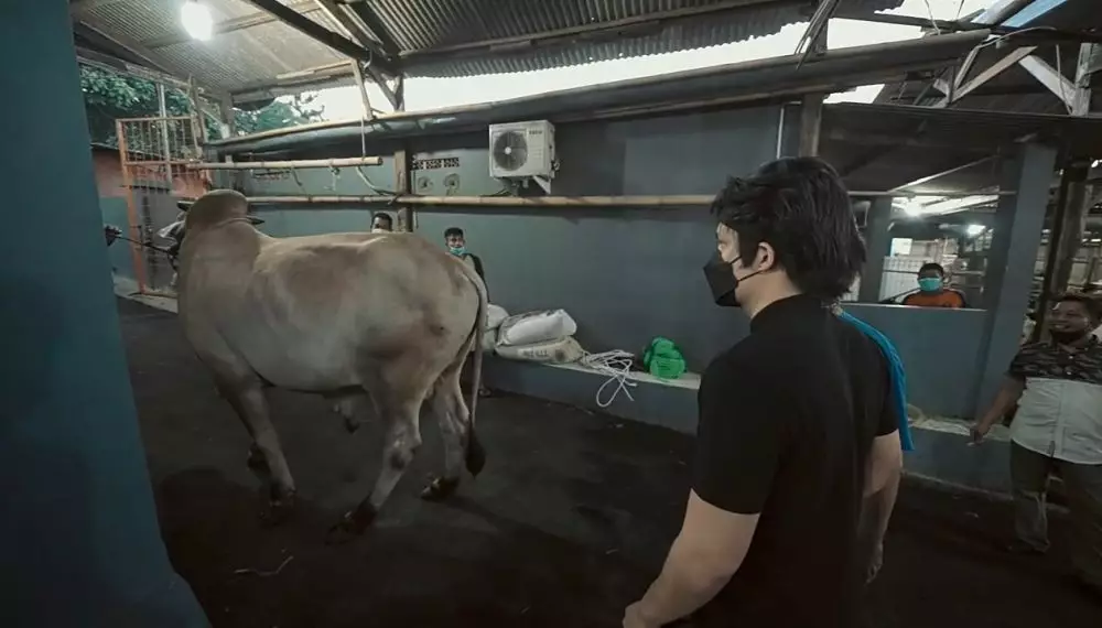 Atta Halilintar dan Aurel Hermansyah beli hewan kurban © 2021 brilio.net YouTube