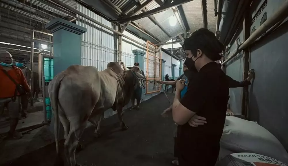 Atta Halilintar dan Aurel Hermansyah beli hewan kurban © 2021 brilio.net YouTube