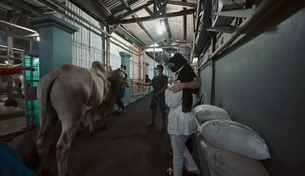 Atta Halilintar dan Aurel Hermansyah beli hewan kurban © 2021 brilio.net YouTube