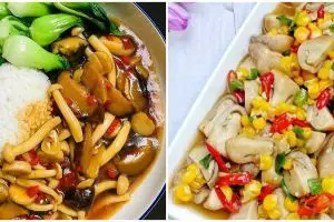 12 Resep kreasi jamur dan sayur, segar, nikmat, dan menyehatkan