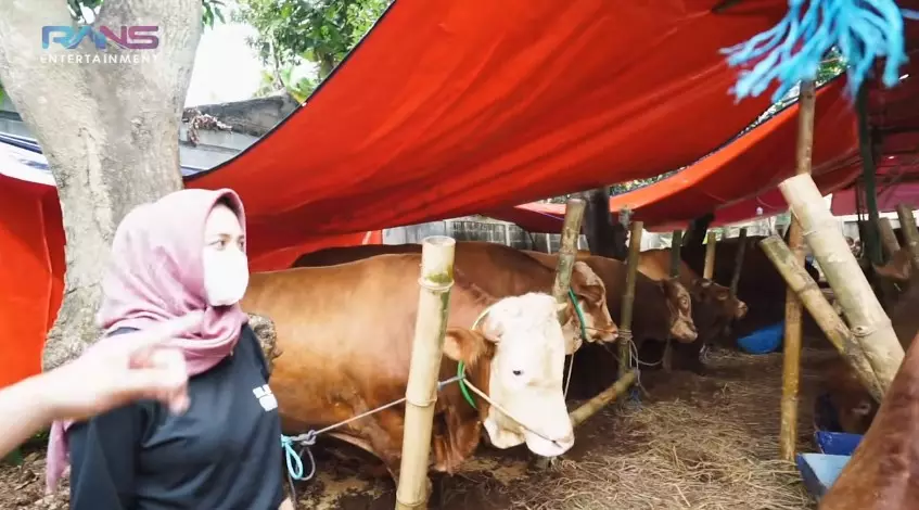 Momen Raffi Ahmad beli hewan kurban Youtube/Rans Entertainment