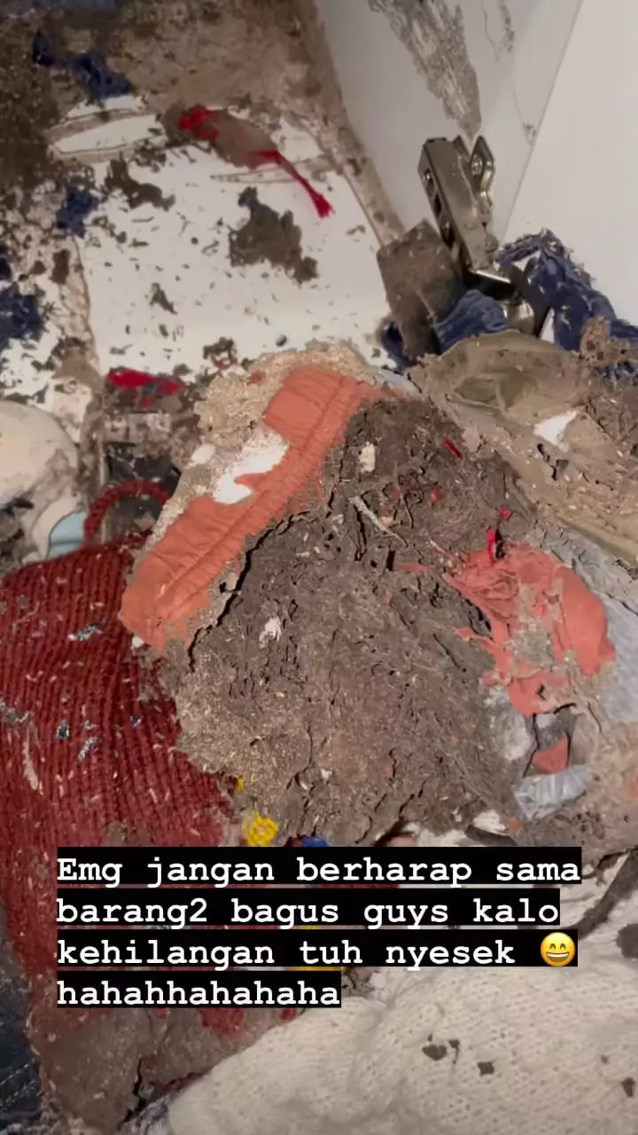 baju branded anak rachel vennya dimakan rayap © instagram