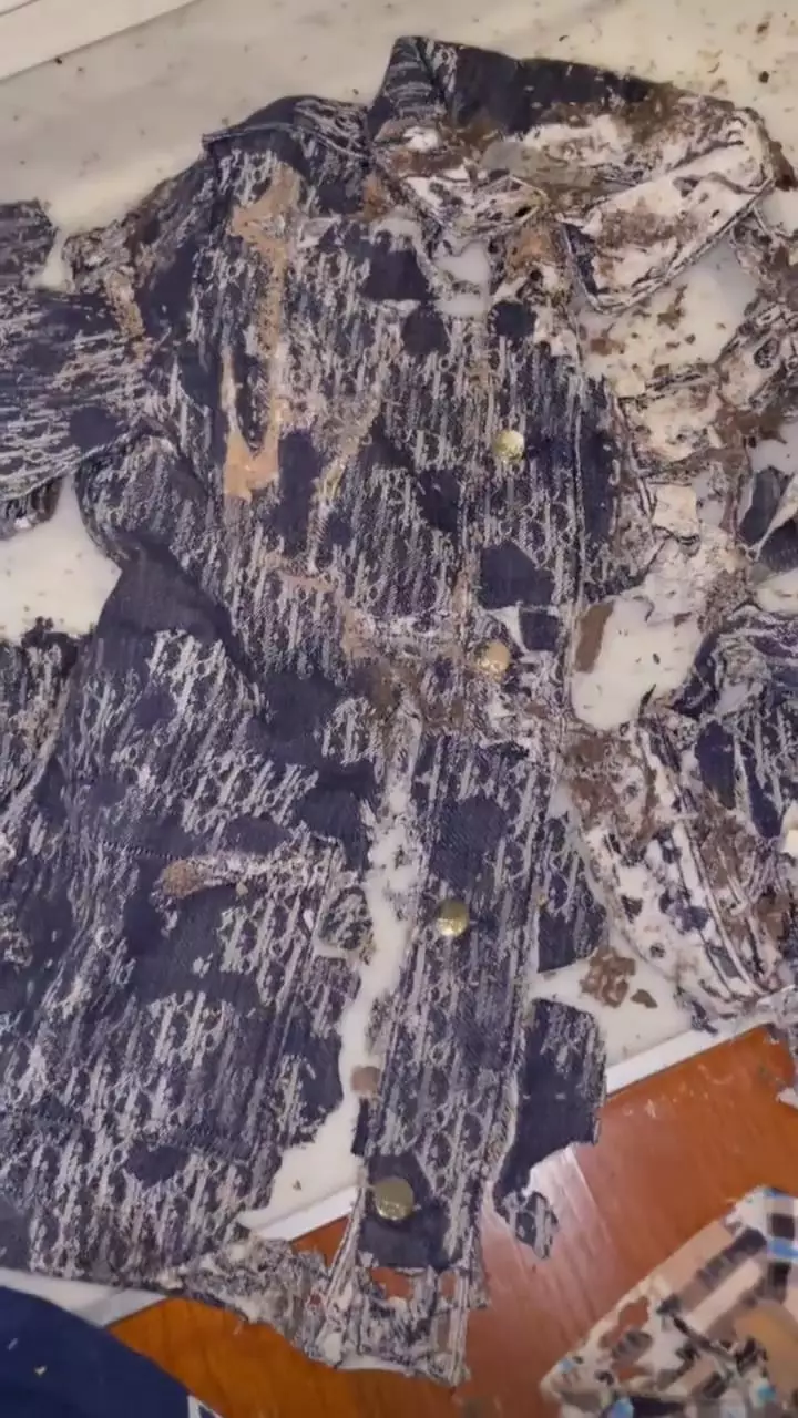 baju branded anak rachel vennya dimakan rayap © instagram