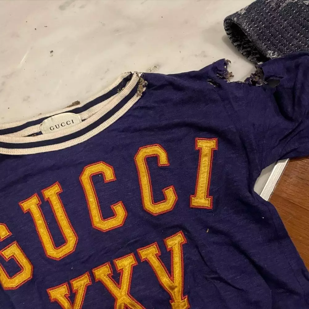 baju branded anak rachel vennya dimakan rayap © instagram