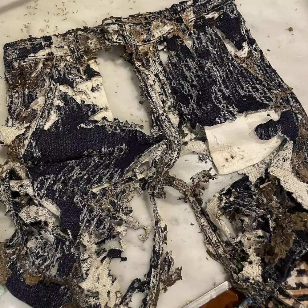 baju branded anak rachel vennya dimakan rayap © instagram