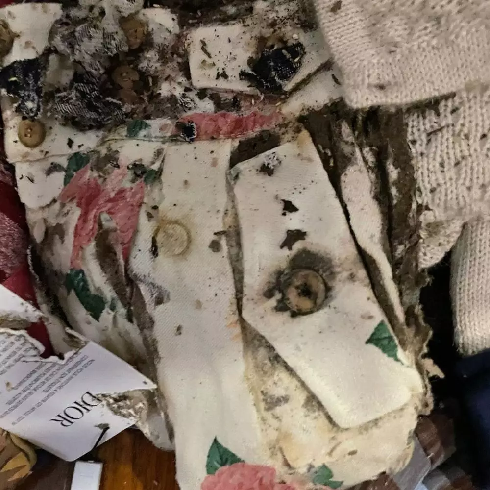 baju branded anak rachel vennya dimakan rayap © instagram