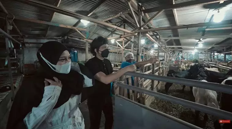 seleb berburu hewan kurban © 2021 brilio.net