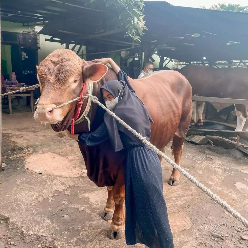 seleb berburu hewan kurban © 2021 brilio.net