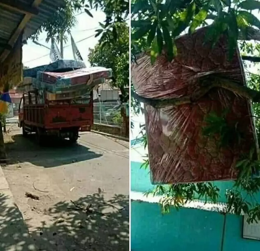 benda nyeleneh di pohon © 2021 instagram.com benda nyeleneh di pohon © 2021 instagram.com