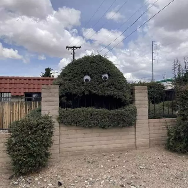 benda nyeleneh di pohon © 2021 instagram.com benda nyeleneh di pohon © 2021 instagram.com