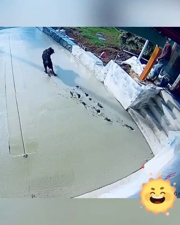 momen lucu perbaikan jalan © 2021 instagram.com