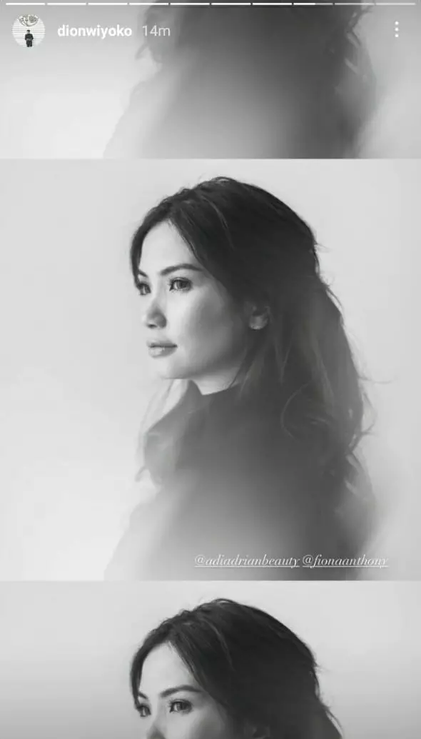 potret maternity istri Dion Wiyoko © berbagai sumber potret maternity istri Dion Wiyoko © berbagai sumber