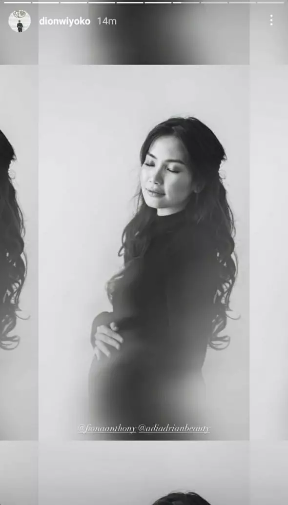 potret maternity istri Dion Wiyoko © berbagai sumber potret maternity istri Dion Wiyoko © berbagai sumber