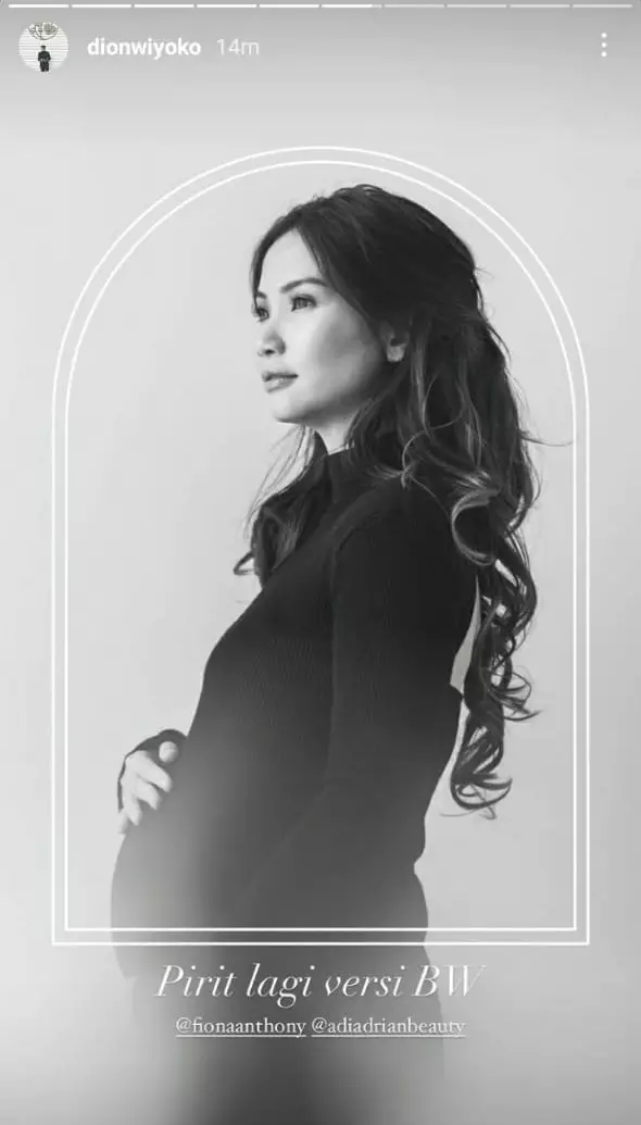 potret maternity istri Dion Wiyoko © berbagai sumber potret maternity istri Dion Wiyoko © berbagai sumber