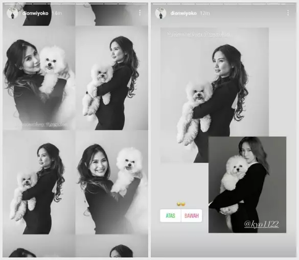 potret maternity istri Dion Wiyoko © berbagai sumber potret maternity istri Dion Wiyoko © berbagai sumber