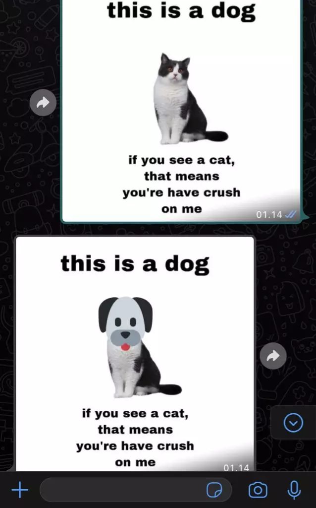 Chat lucu pertanyaan menjebak © berbagai sumber Chat lucu pertanyaan menjebak © berbagai sumber