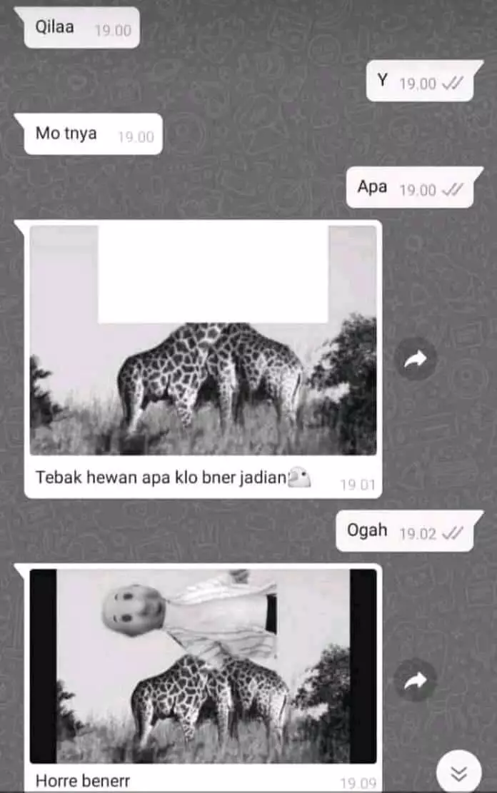 Chat lucu pertanyaan menjebak © berbagai sumber Chat lucu pertanyaan menjebak © berbagai sumber