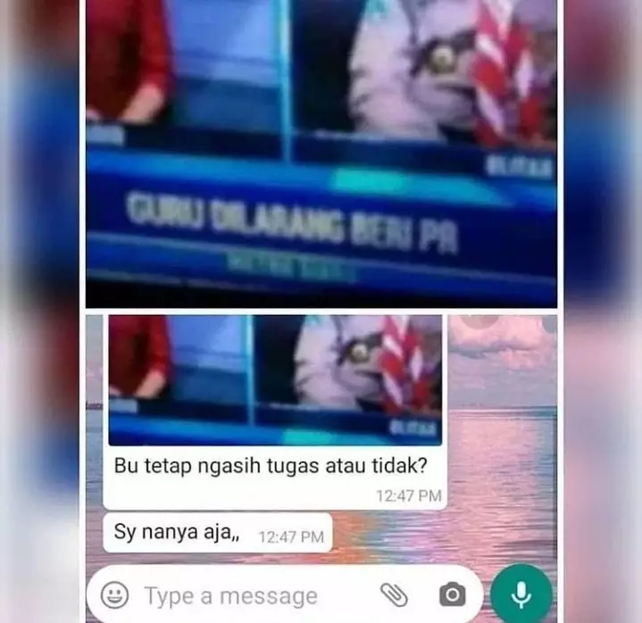 Chat lucu pertanyaan menjebak © berbagai sumber Chat lucu pertanyaan menjebak © berbagai sumber