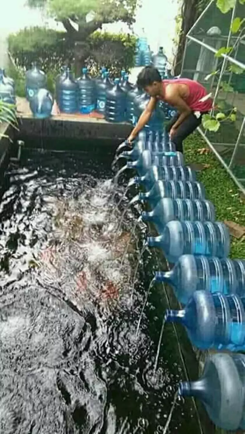 pelihara ikan kocak © 2021 berbagai sumber