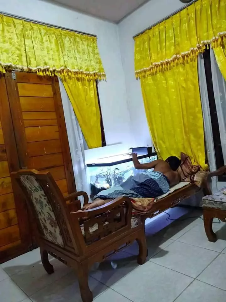 pelihara ikan kocak © 2021 berbagai sumber