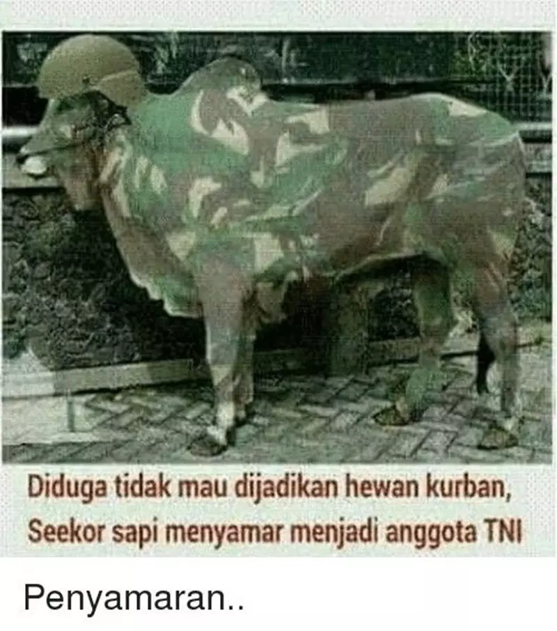 meme sapi galau © 2021 berbagai sumber