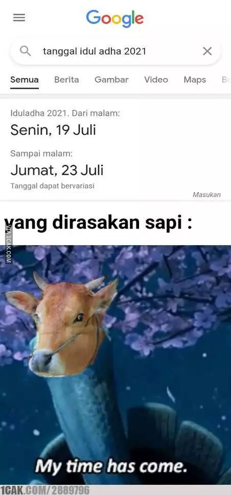 meme sapi galau © 2021 berbagai sumber