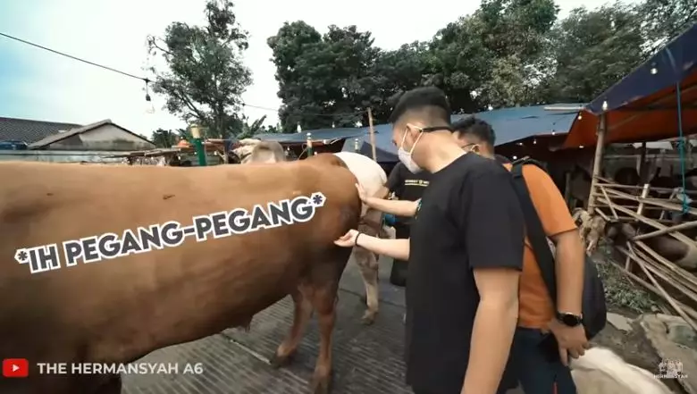 Azriel Hermansyah beli sapi © YouTube/The Hermansyah A6