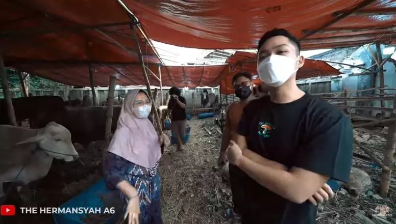 Azriel Hermansyah beli sapi © YouTube/The Hermansyah A6