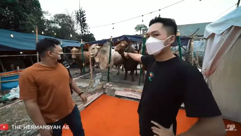 Azriel Hermansyah beli sapi © YouTube/The Hermansyah A6