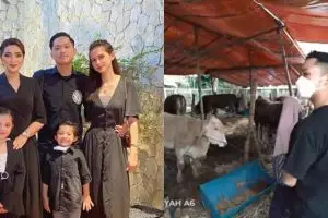 11 Momen keluarga Anang beli 3 sapi kurban, beratnya di atas 1 ton