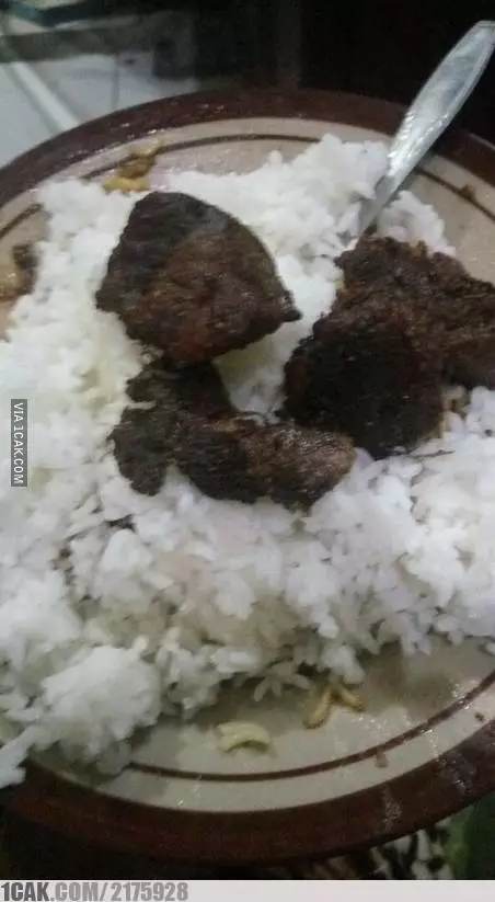 Kurban ala anak kos © 1cak.com Kurban ala anak kos © 1cak.com