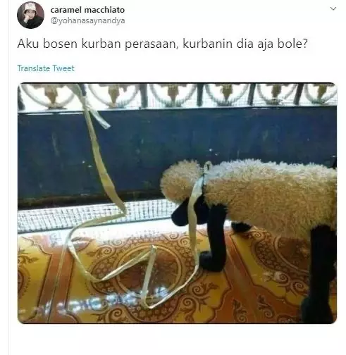 Kurban ala anak kos © 1cak.com Kurban ala anak kos © 1cak.com