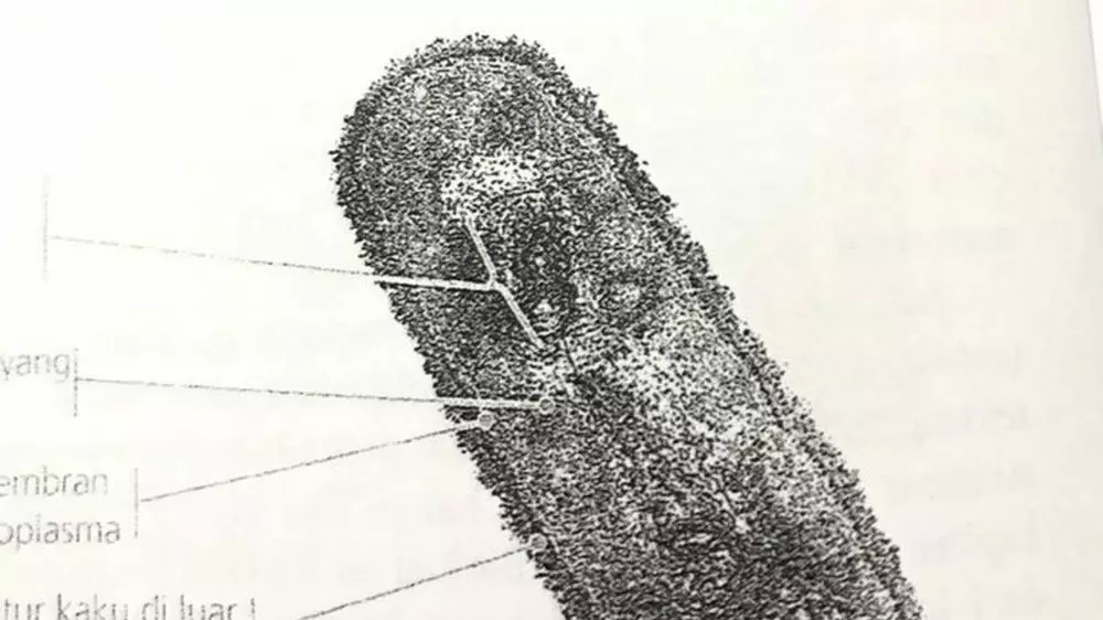 Gambar lucu di soal ujian © 1cak.com