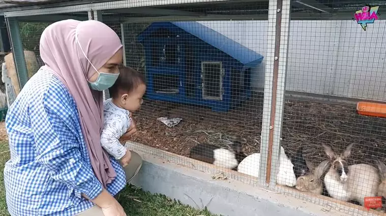 Irish Bella ngungsi © YouTube