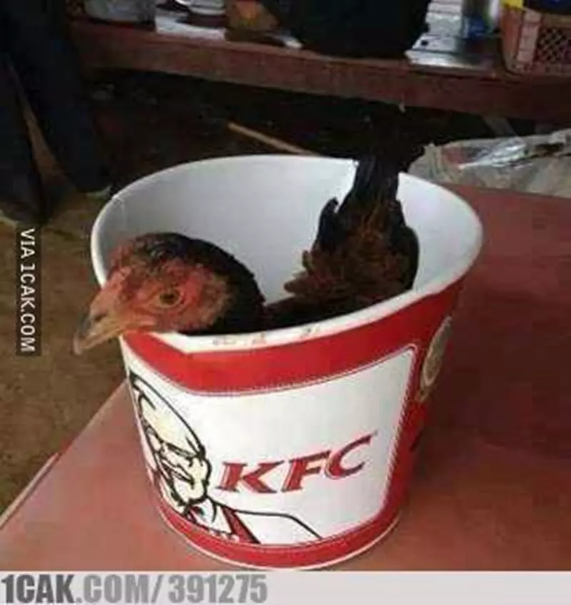 penyajian ayam goreng © 2021 berbagai sumber