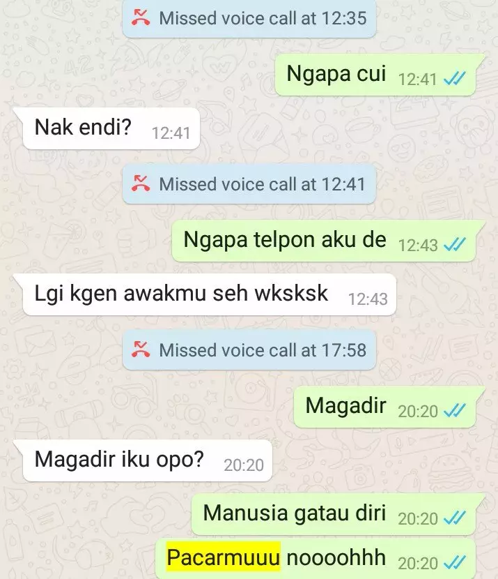 Chat lucu dari cowok berpacar © berbagai sumber