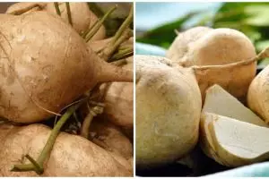 12 Manfaat bengkoang untuk kesehatan, baik untuk jantung