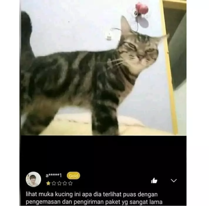 Potret lucu hewan di review olshop © Twitter