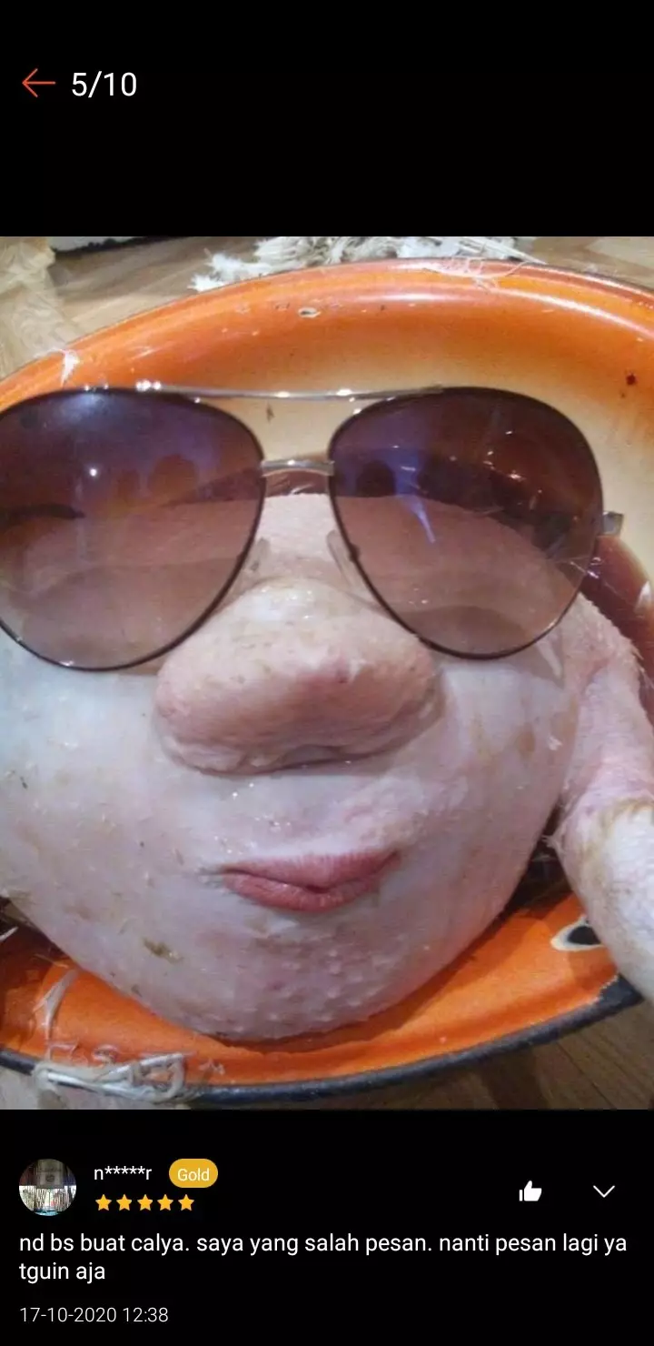 Potret lucu hewan di review olshop © Twitter