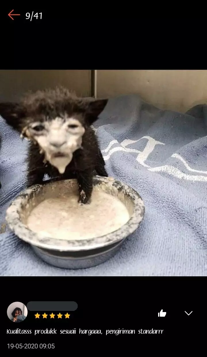 Potret lucu hewan di review olshop © Twitter