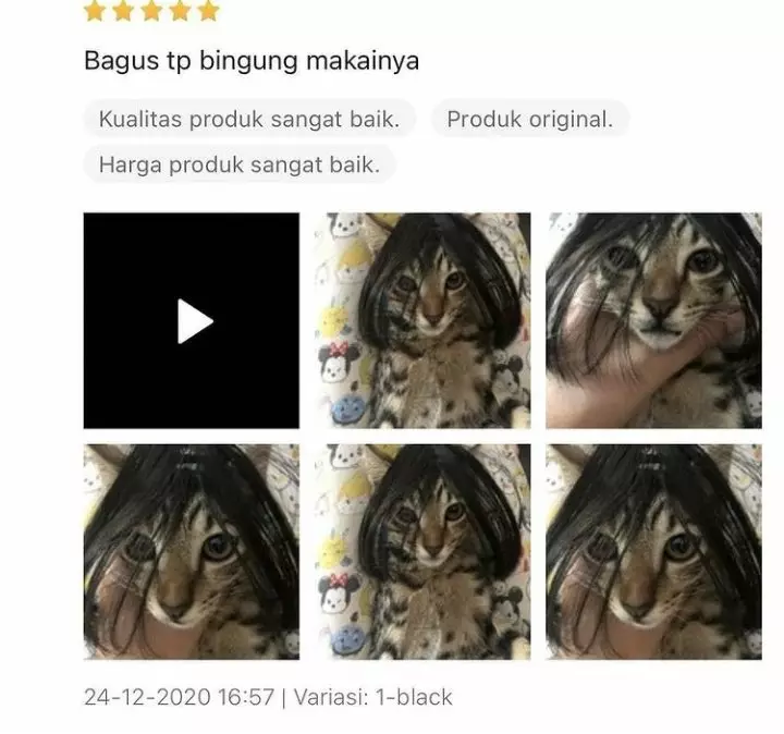 Potret lucu hewan di review olshop © Twitter