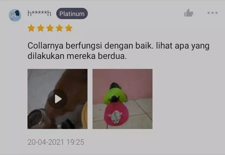 Potret lucu hewan di review olshop © Twitter