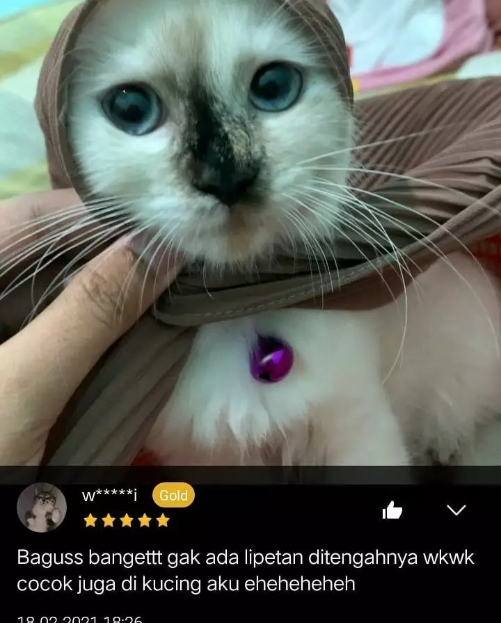 Potret lucu hewan di review olshop © Twitter