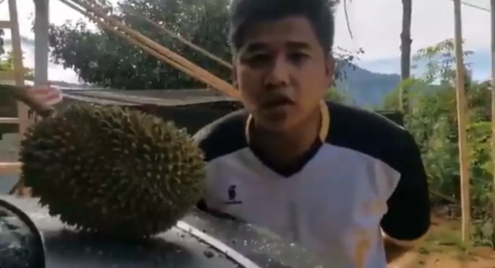 durian viral 1,7 juta © Twitter